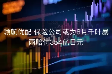 领航优配 保险公司或为8月千叶暴雨赔付354亿日元